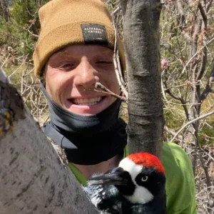Jamie Taylor head tree climber for Cumorah tree service